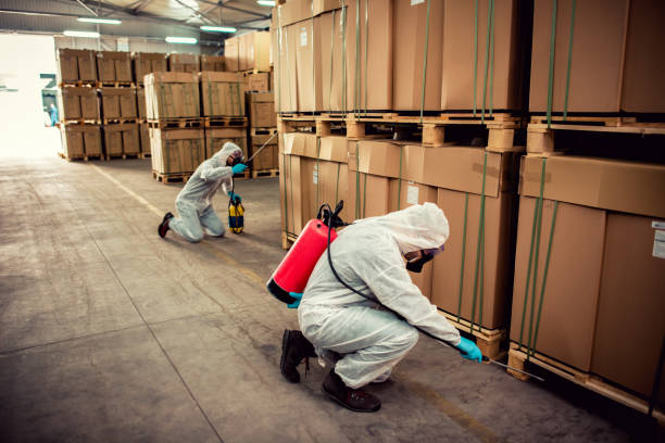 Best Pest Prevention Services  in West Islip, NY