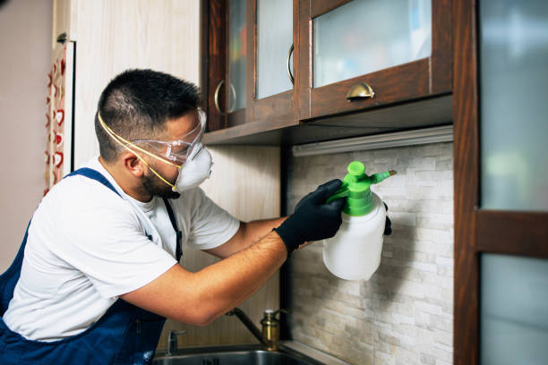Professional Pest Control in West Islip, NY
